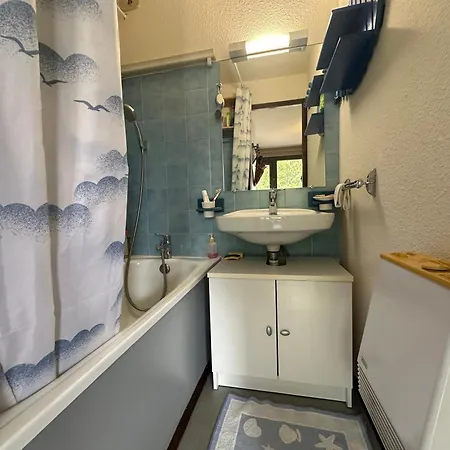 Cosy A La Montagne Avec Balcon Et Rangement Skis, Ideal Pour 4 Personnes *